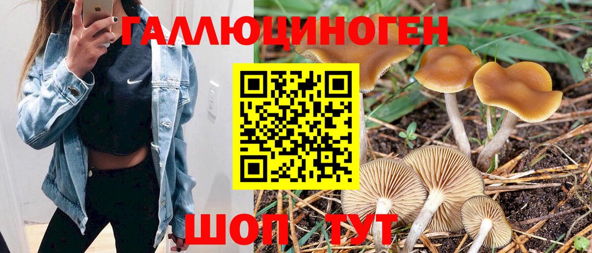 Галлюциногенные грибы Cubensis  Вход с VPN  Тавда 