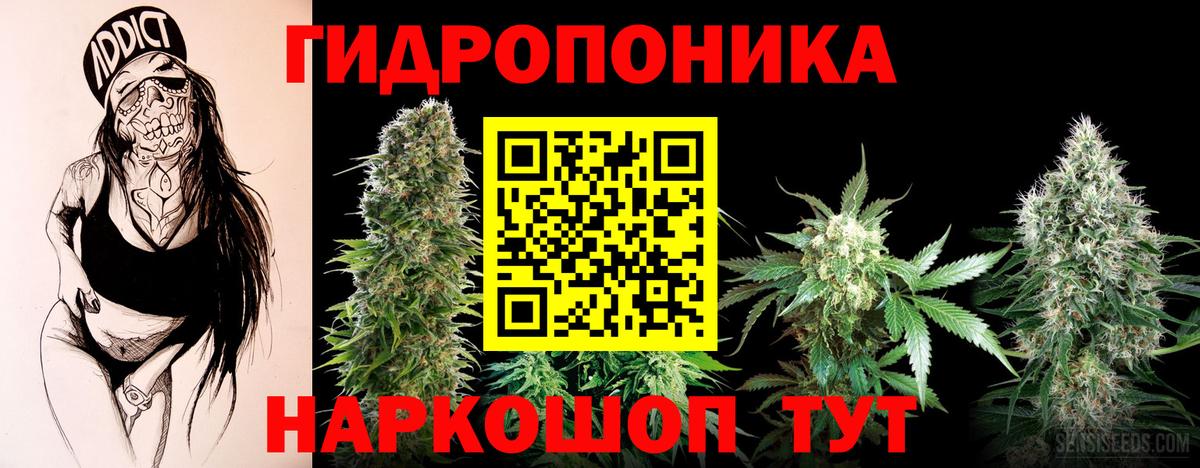 Бошки Шишки конопля  МАРИХУАНА индика  Марихуана AK-47  Тавда  Вход с VPN 